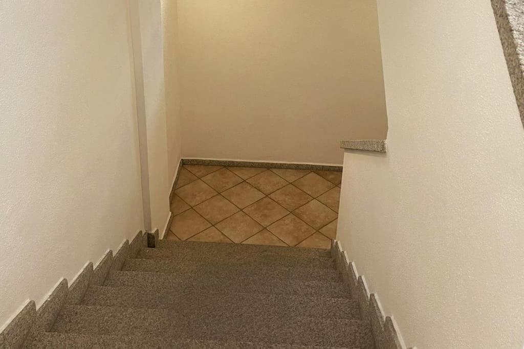Looney Tunes Home Ольбия Экстерьер фото
